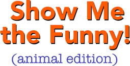 Bob Mankoff Presents: Show Me The Funny (Animal Edition)